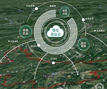 农业农村时空大数据平台